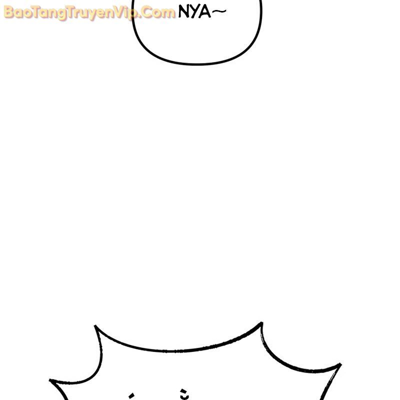 Sự Bí Ẩn Của Học Sinh Chuyển Trường: Chapter 0
