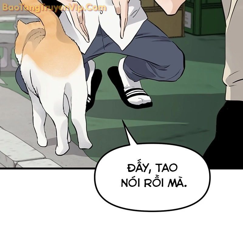 Sự Bí Ẩn Của Học Sinh Chuyển Trường: Chapter 0