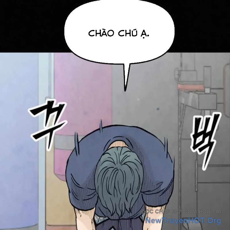 Sự Bí Ẩn Của Học Sinh Chuyển Trường: Chapter 11