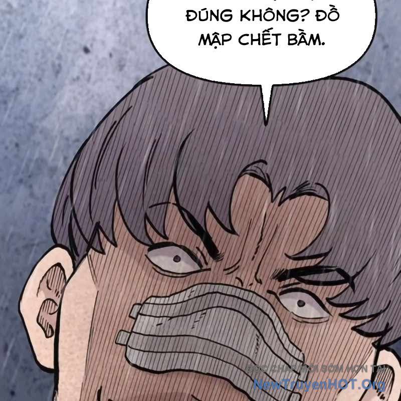 Sự Bí Ẩn Của Học Sinh Chuyển Trường: Chapter 11