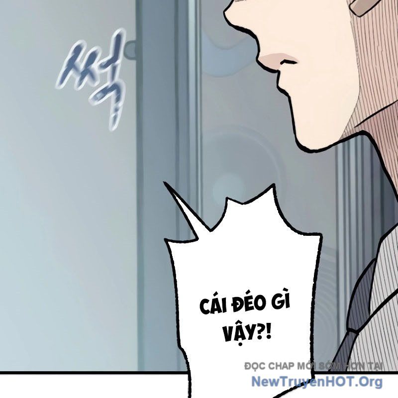 Sự Bí Ẩn Của Học Sinh Chuyển Trường: Chapter 12