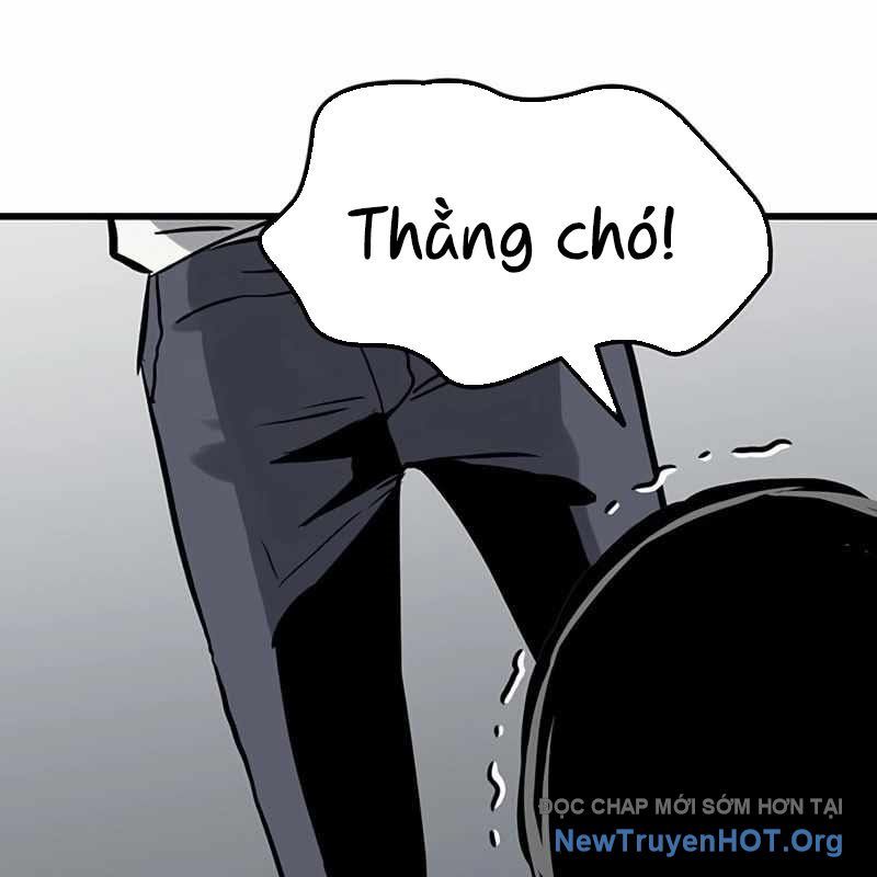 Sự Bí Ẩn Của Học Sinh Chuyển Trường: Chapter 15