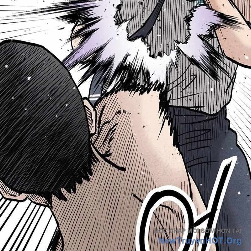 Sự Bí Ẩn Của Học Sinh Chuyển Trường: Chapter 15