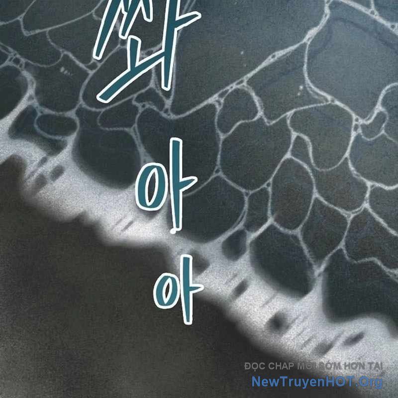 Sự Bí Ẩn Của Học Sinh Chuyển Trường: Chapter 17