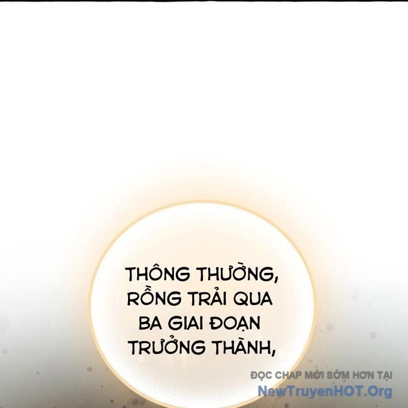 Sự Ra Đời Của Một Anh Hùng: Chapter 157