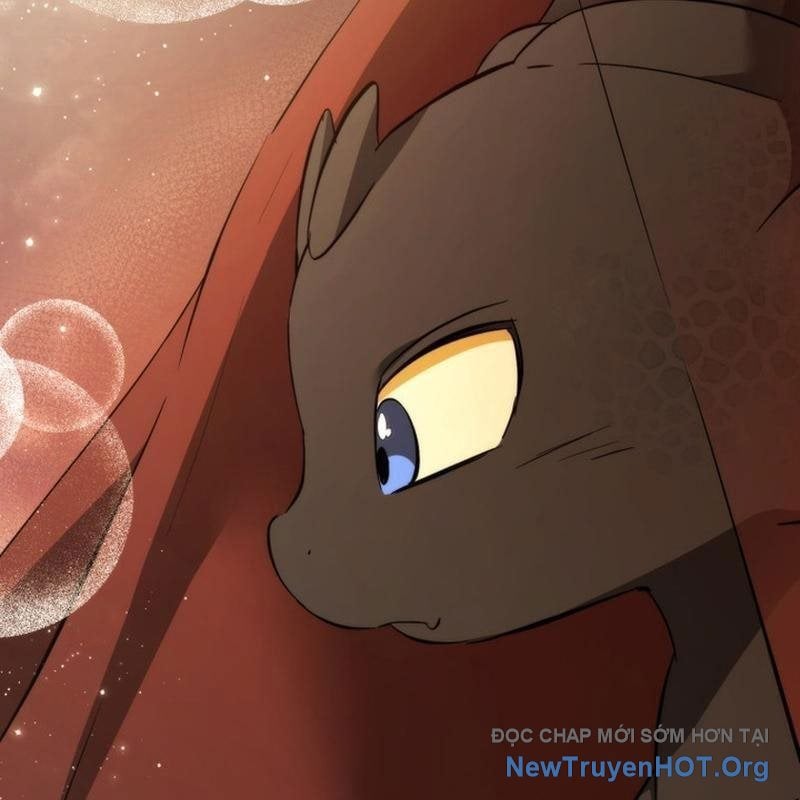 Sự Ra Đời Của Một Anh Hùng: Chapter 157