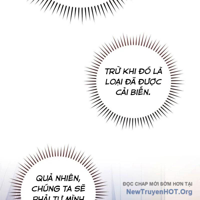 Sự Ra Đời Của Một Anh Hùng: Chapter 161