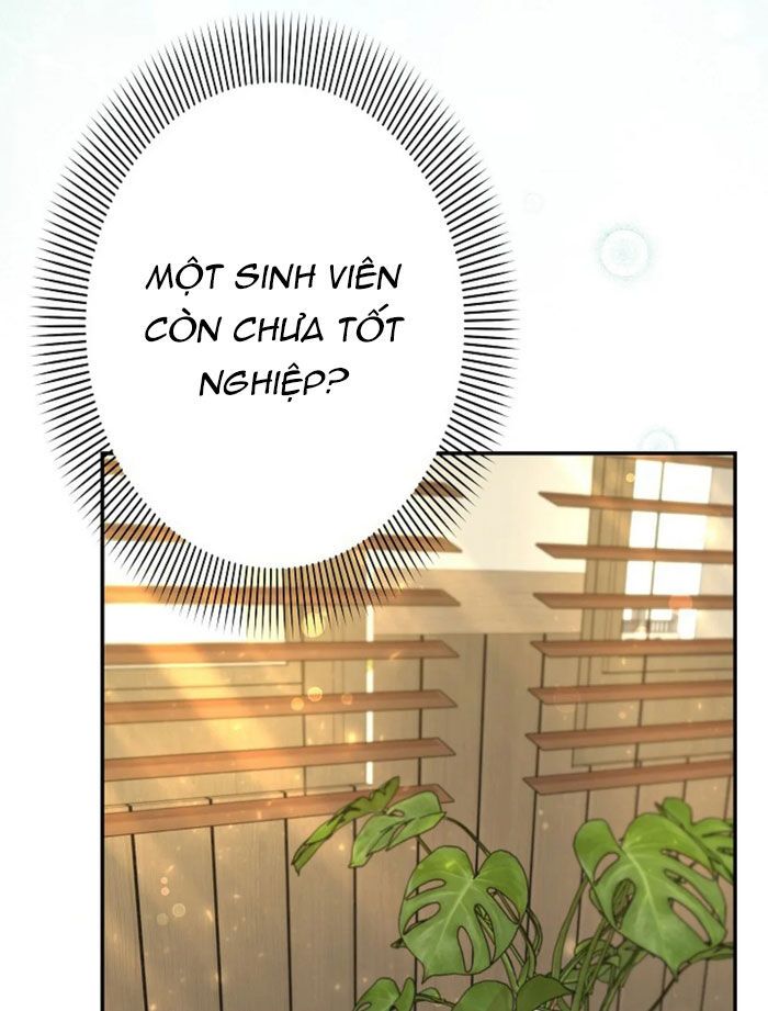 Sự Tái Sinh Của Nhà Thiết Kế Tài Ba: Chapter 21