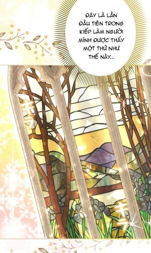 Sự Tái Sinh Của Nhà Thiết Kế Tài Ba: Chapter 6