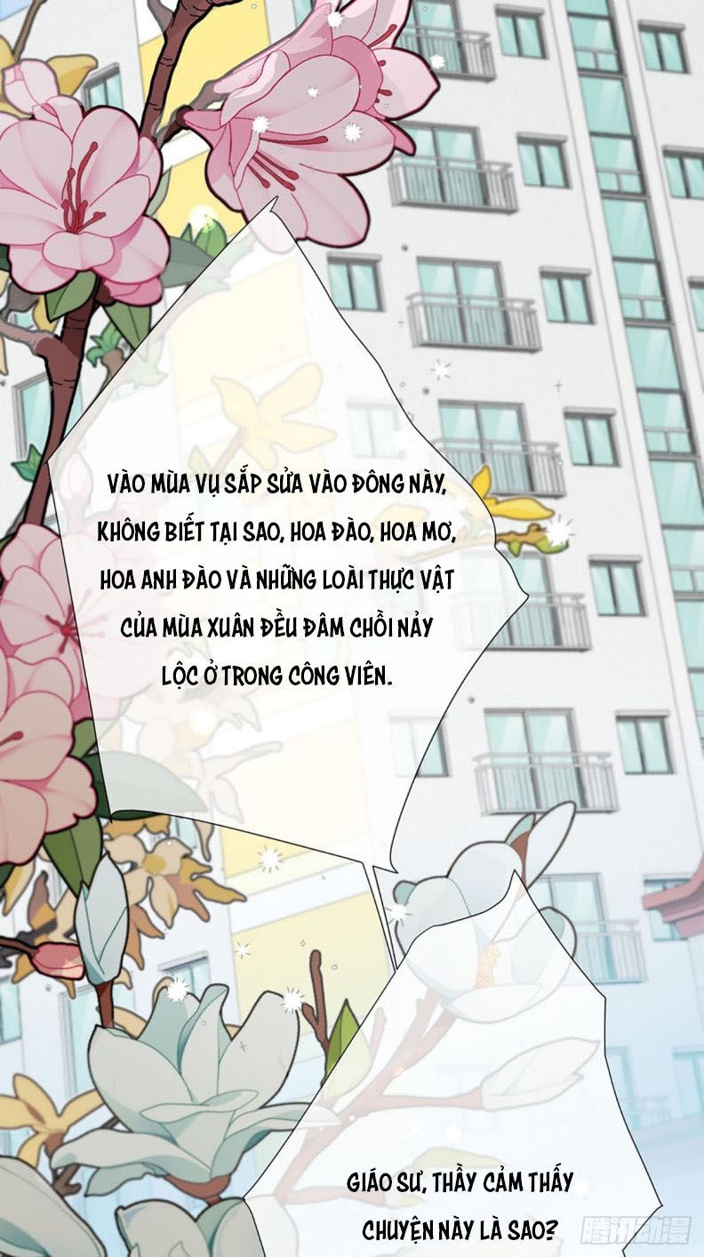 Sự Thiên Vị Của Thần Minh: Chapter 1