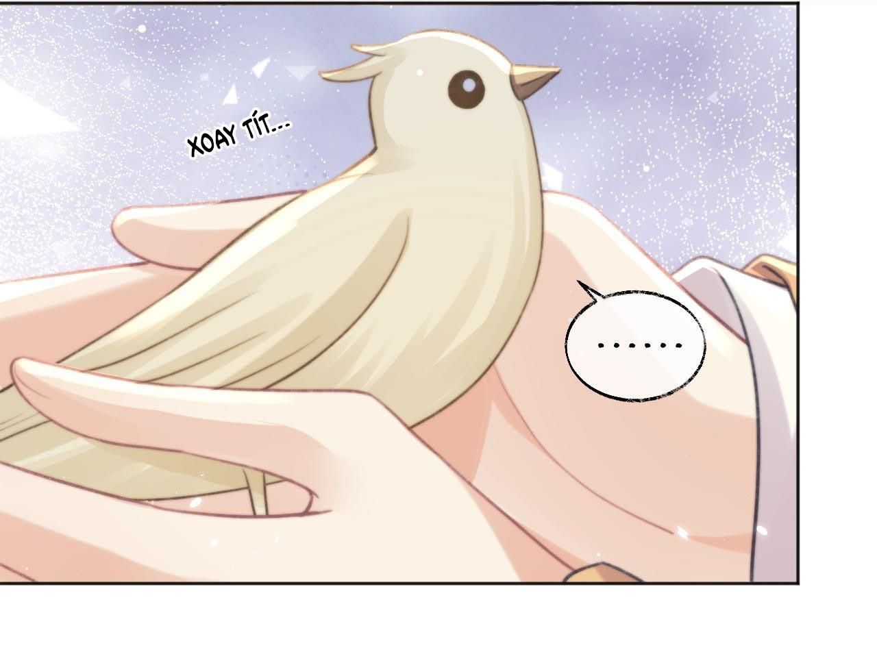 Sư Tôn Mỹ Nhân Bệnh Độc Chiếm: Chapter 37