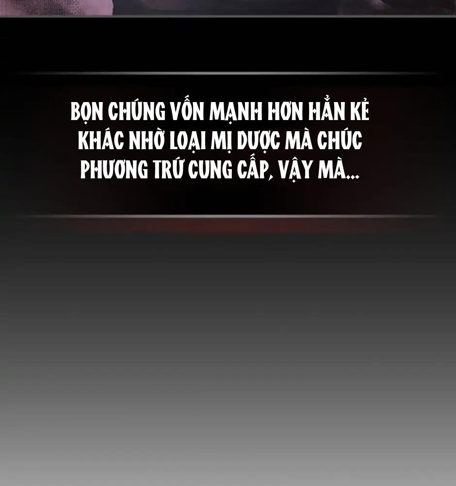 Sự Trở Lại Của Chiến Thần: Chapter 35