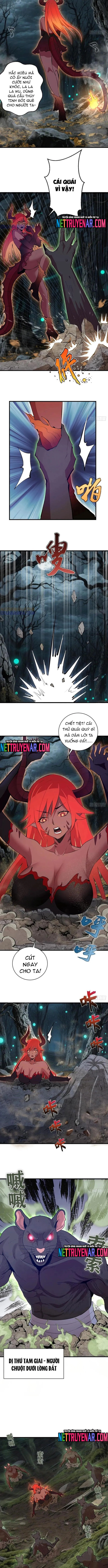 Ta Dựa Vào Hậu Cung Chinh Phục Thế Giới: Chapter 62