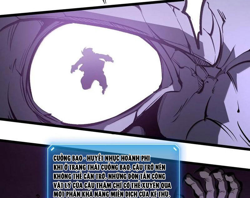 Ta Dựa Vào Nhặt Rác Trở Thành Vương Giả: Chapter 39