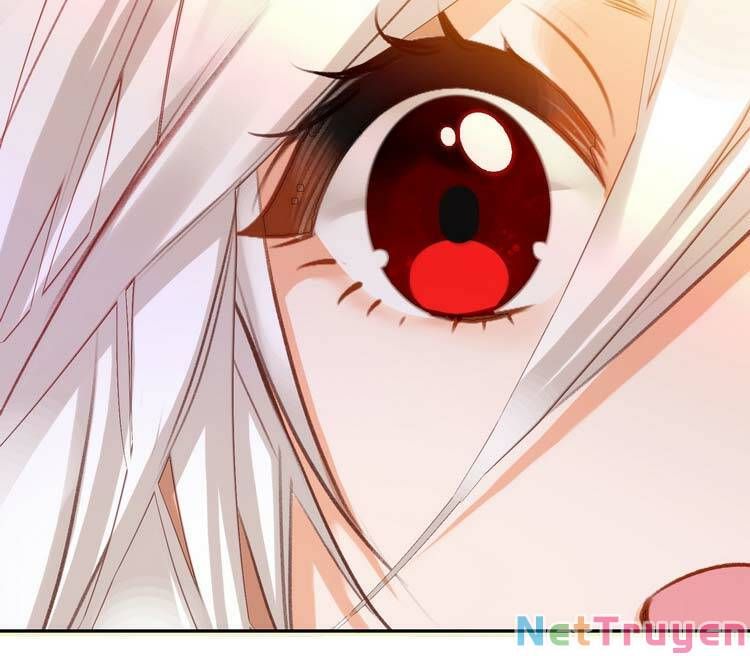 Ta Đúng Là Cao Thủ Tuyệt Thế: Chapter 2