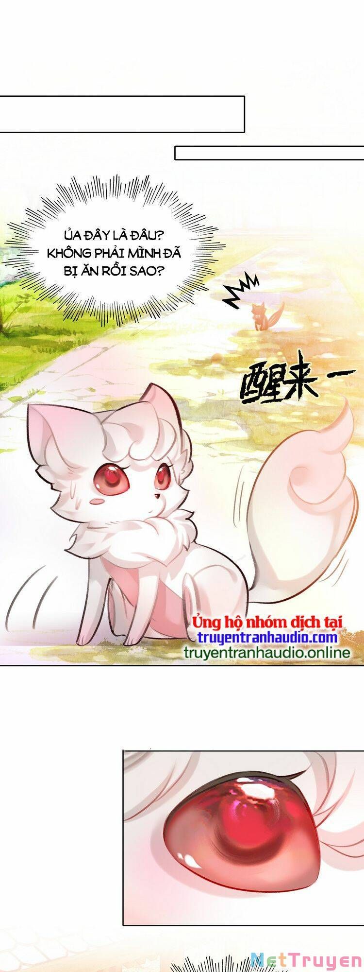 Ta Đúng Là Cao Thủ Tuyệt Thế: Chapter 6