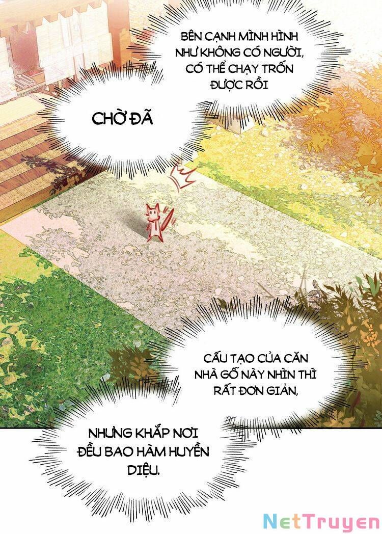 Ta Đúng Là Cao Thủ Tuyệt Thế: Chapter 6