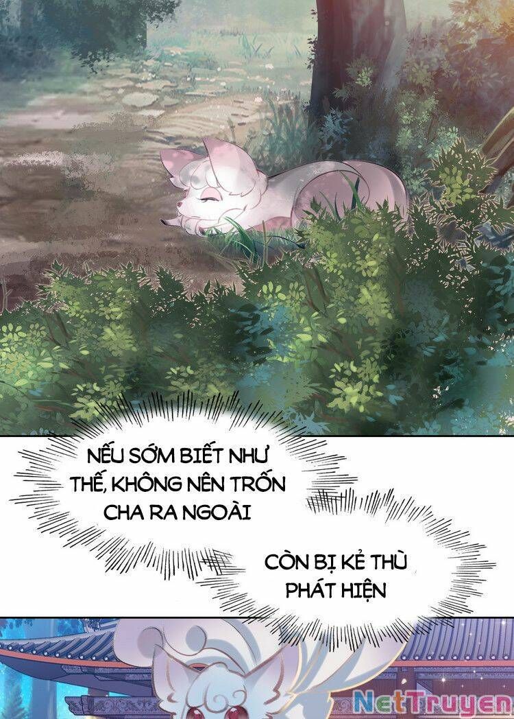 Ta Đúng Là Cao Thủ Tuyệt Thế: Chapter 6