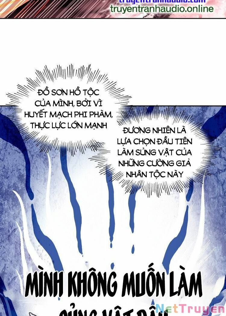 Ta Đúng Là Cao Thủ Tuyệt Thế: Chapter 6