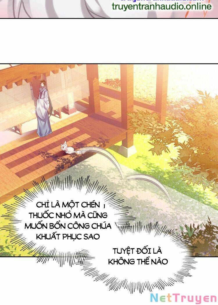 Ta Đúng Là Cao Thủ Tuyệt Thế: Chapter 6