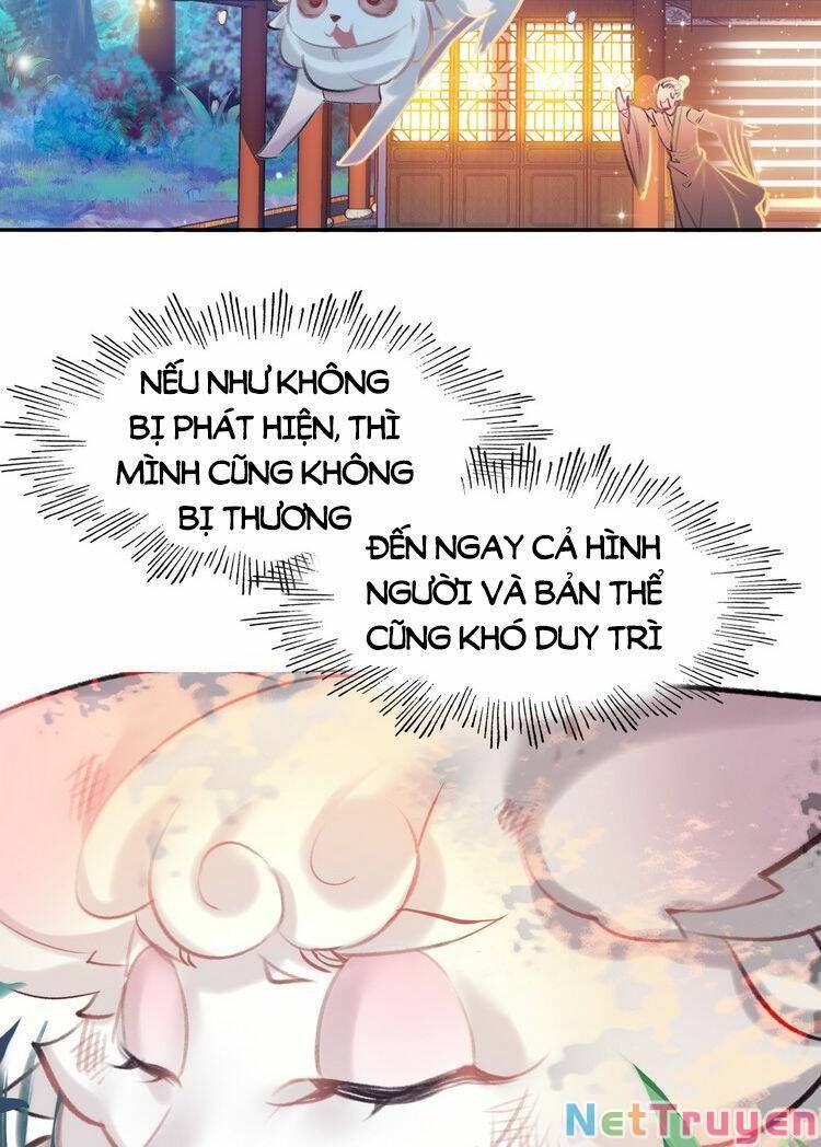 Ta Đúng Là Cao Thủ Tuyệt Thế: Chapter 6