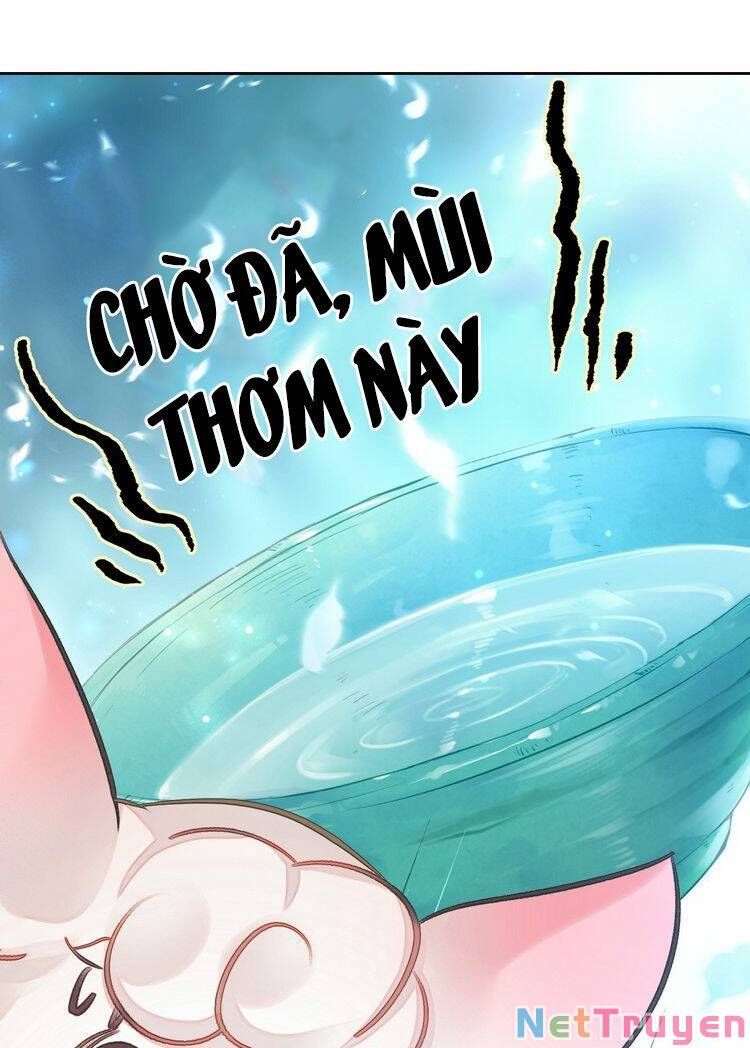 Ta Đúng Là Cao Thủ Tuyệt Thế: Chapter 6