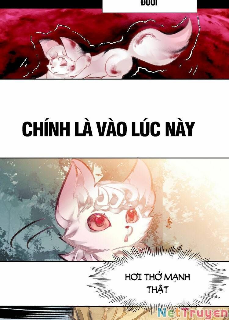 Ta Đúng Là Cao Thủ Tuyệt Thế: Chapter 6