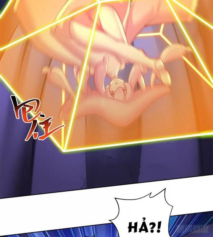 Ta Nhặt Được Thuộc Tính Tại Tu Chân Giới: Chapter 222