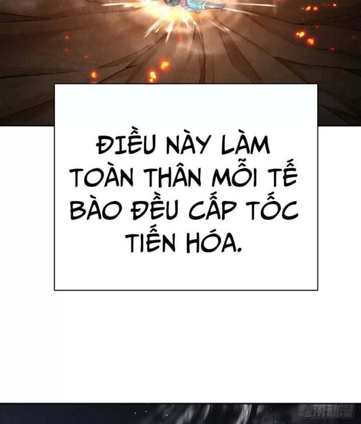Ta Nhặt Được Thuộc Tính Tại Tu Chân Giới: Chapter 232
