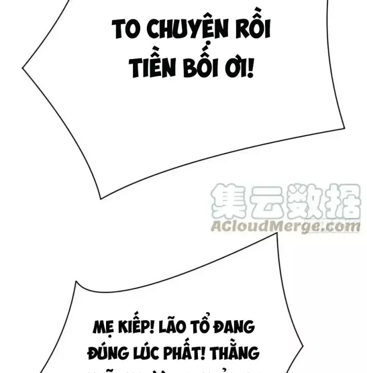 Ta Nhặt Được Thuộc Tính Tại Tu Chân Giới: Chapter 266