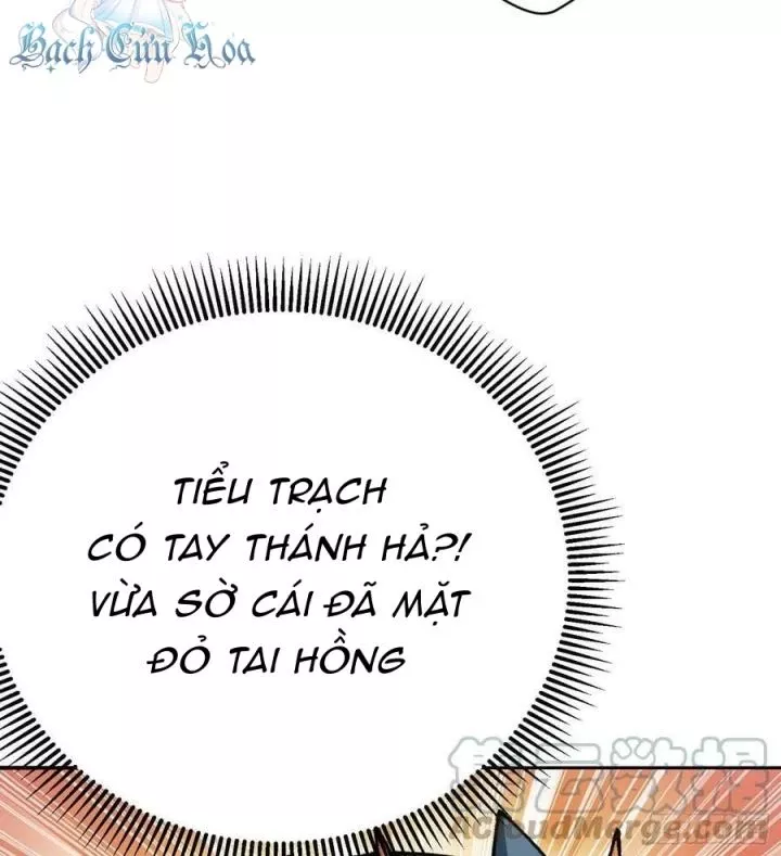 Ta Nhặt Được Thuộc Tính Tại Tu Chân Giới: Chapter 268
