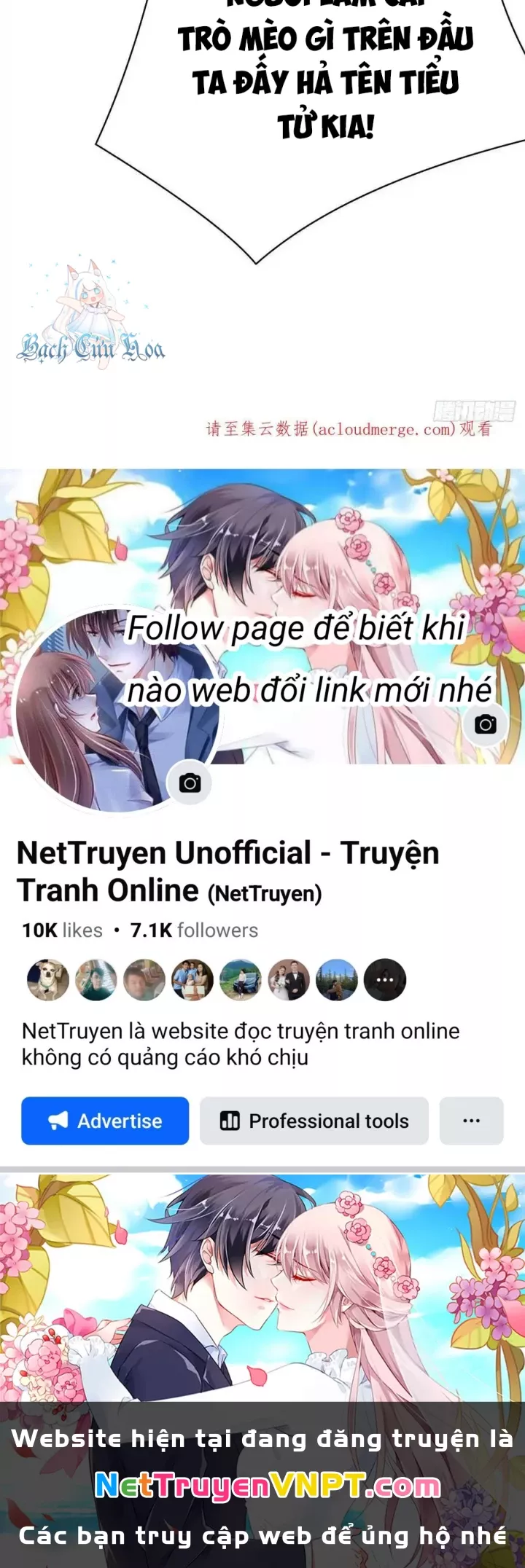 Ta Nhặt Được Thuộc Tính Tại Tu Chân Giới: Chapter 275