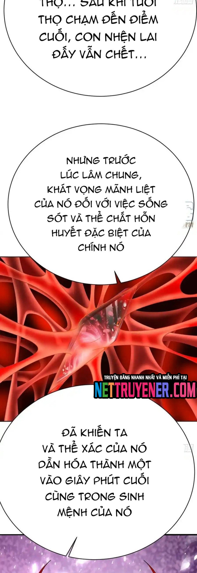 Ta Nhặt Được Thuộc Tính Tại Tu Chân Giới: Chapter 301