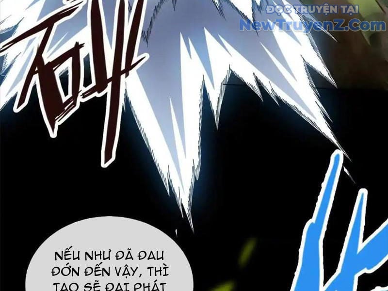 Ta Thành Vương Giả Từ Khắc Kim: Chapter 27