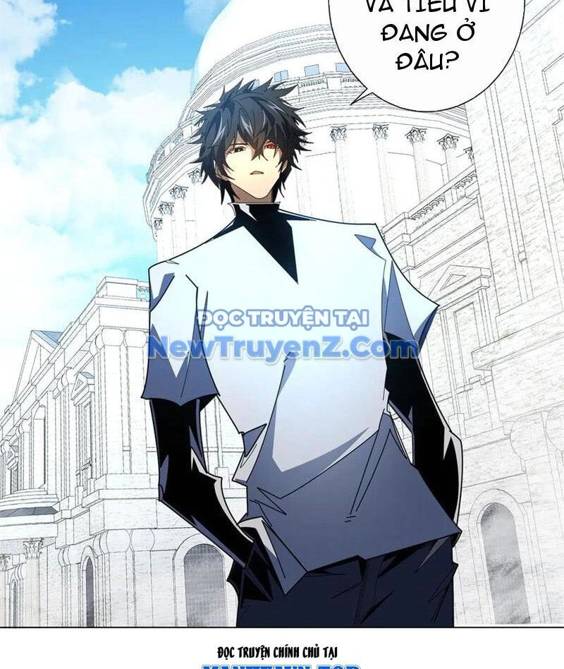 Ta Thành Vương Giả Từ Khắc Kim: Chapter 33
