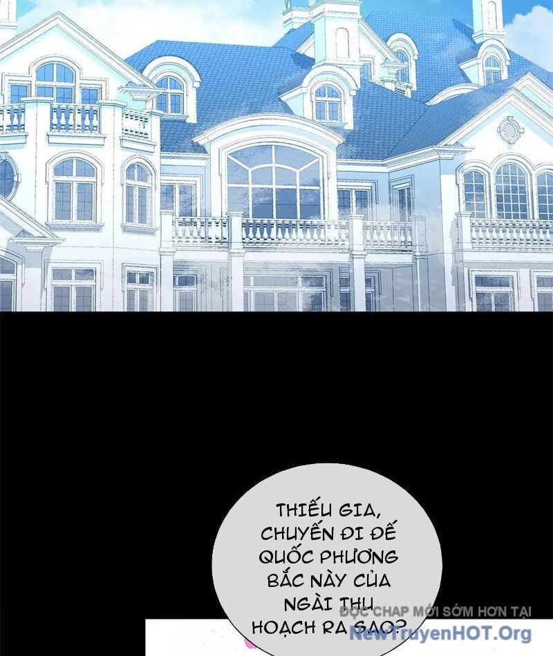 Ta Thành Vương Giả Từ Khắc Kim: Chapter 34
