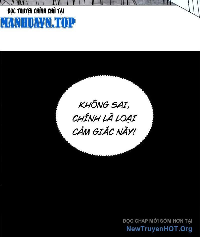 Ta Thành Vương Giả Từ Khắc Kim: Chapter 39