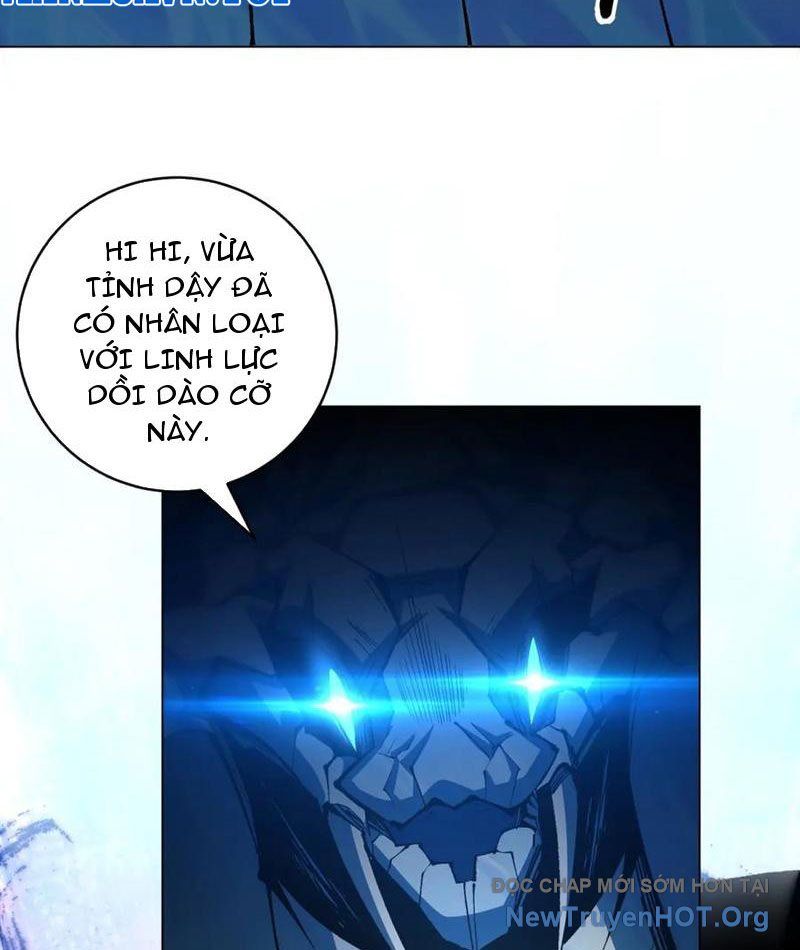 Ta Thành Vương Giả Từ Khắc Kim: Chapter 40