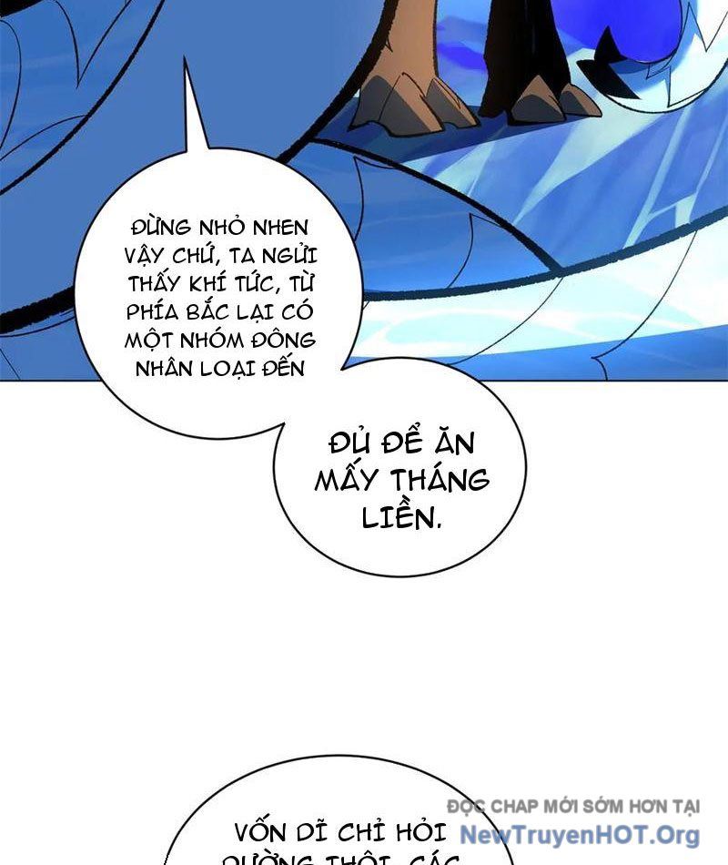Ta Thành Vương Giả Từ Khắc Kim: Chapter 40