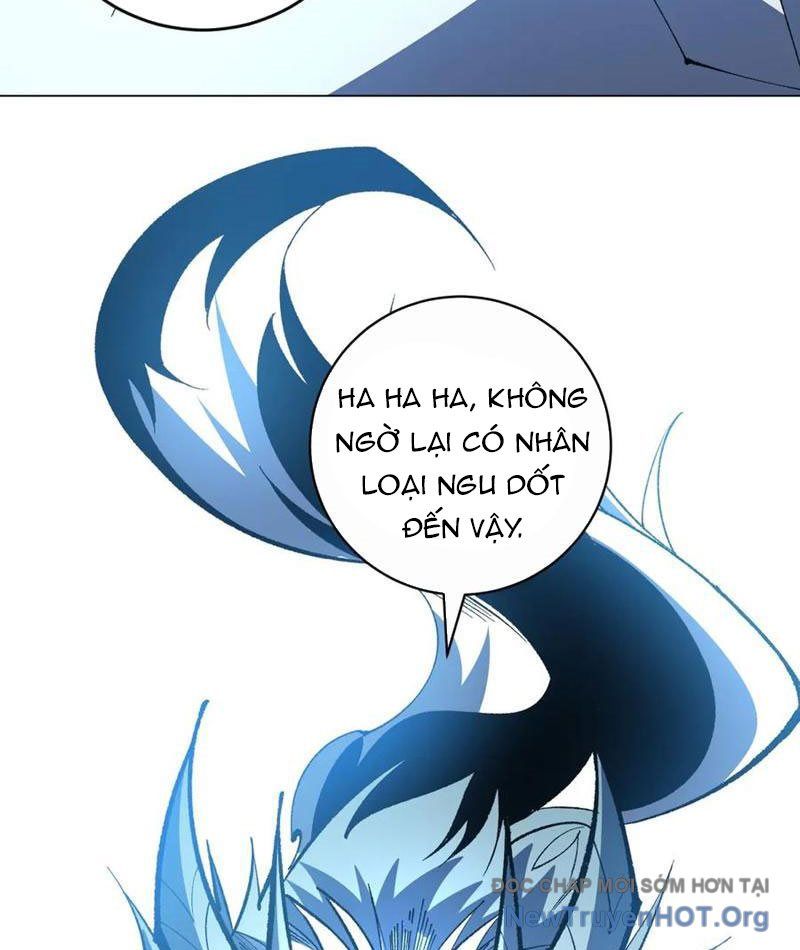 Ta Thành Vương Giả Từ Khắc Kim: Chapter 40