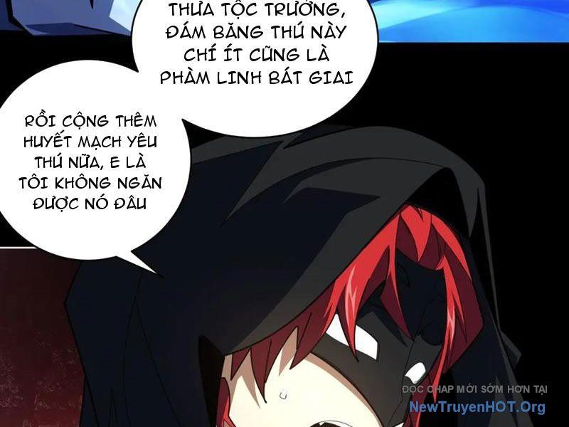 Ta Thành Vương Giả Từ Khắc Kim: Chapter 41