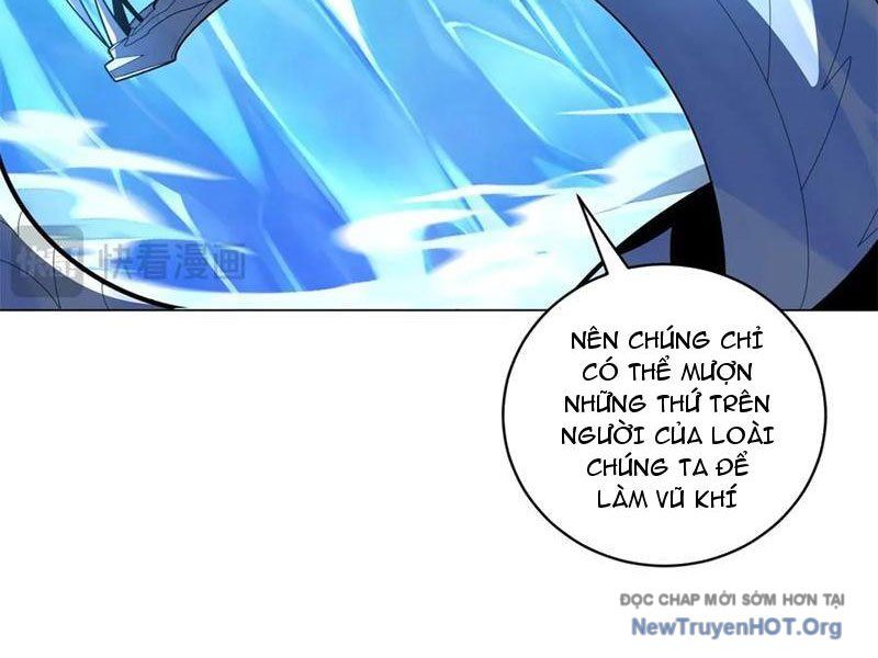 Ta Thành Vương Giả Từ Khắc Kim: Chapter 41