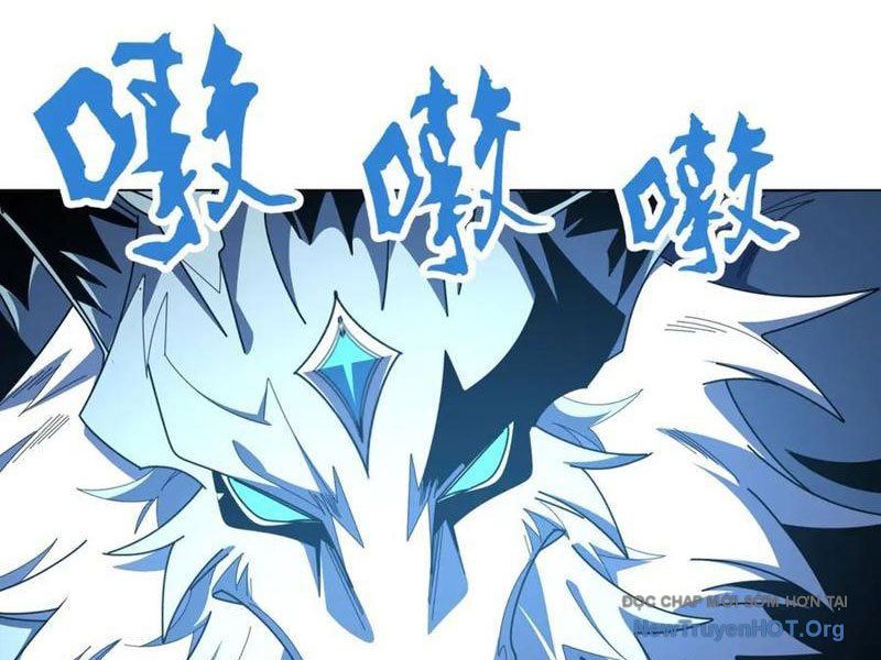 Ta Thành Vương Giả Từ Khắc Kim: Chapter 41