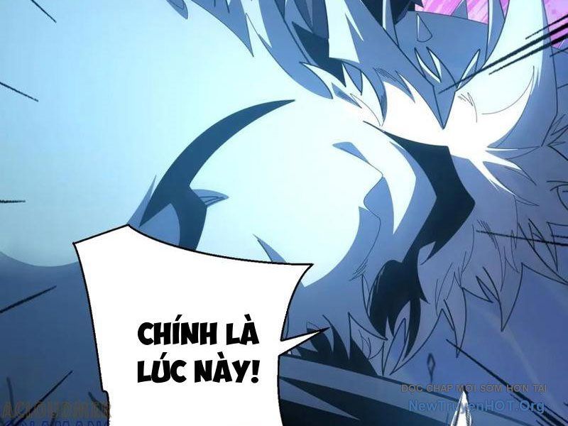 Ta Thành Vương Giả Từ Khắc Kim: Chapter 41