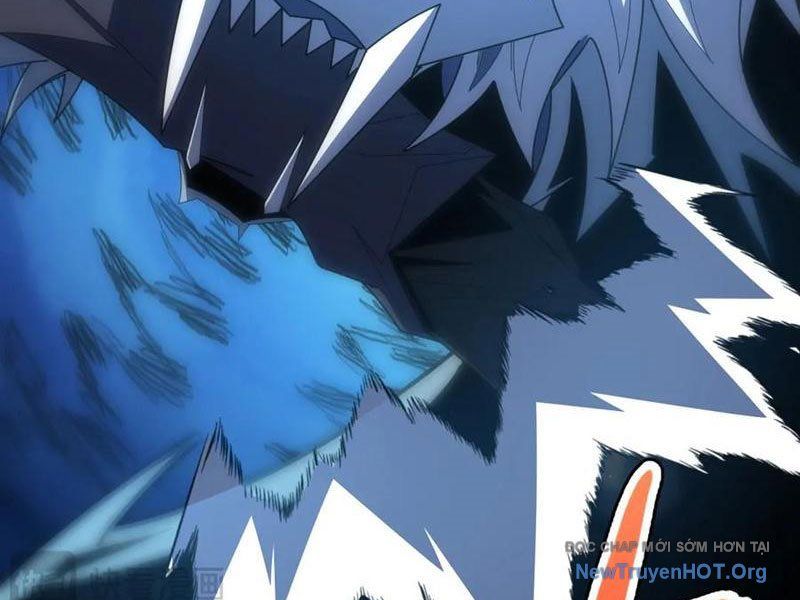 Ta Thành Vương Giả Từ Khắc Kim: Chapter 41