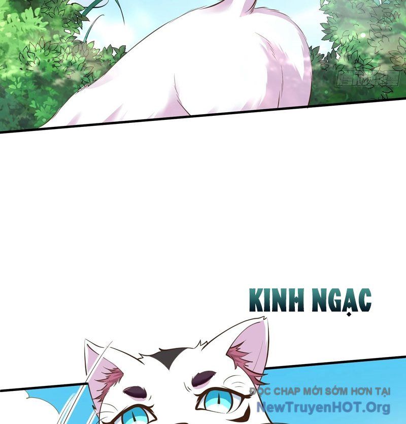 Ta Thật Sự Không Phải Là Cái Thế Cao Nhân: Chapter 53