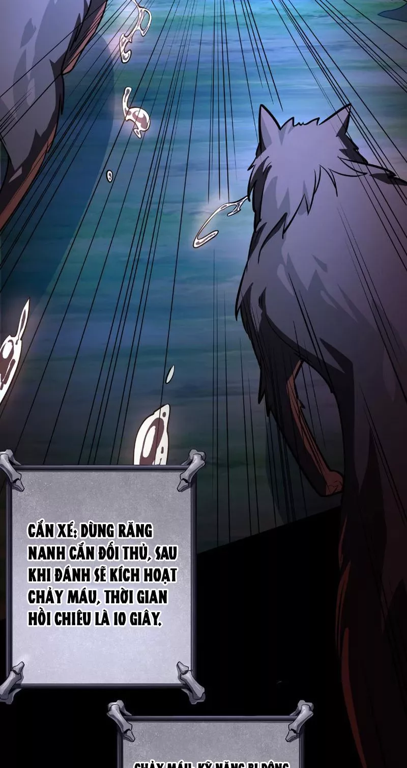 Tai Ách Cấp Mục Sư: Chapter 2