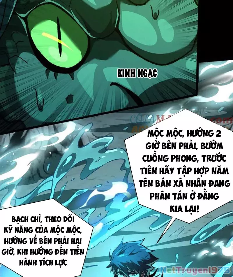 Tai Ách Cấp Mục Sư: Chapter 41