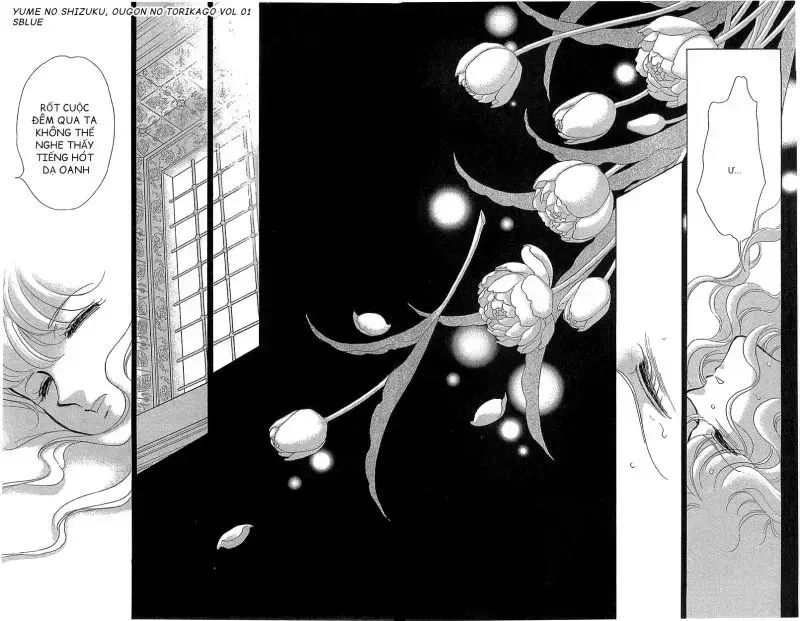 Tàn Dư Mộng Ước, Lồng Chim Hoàng Kim: Chapter 5