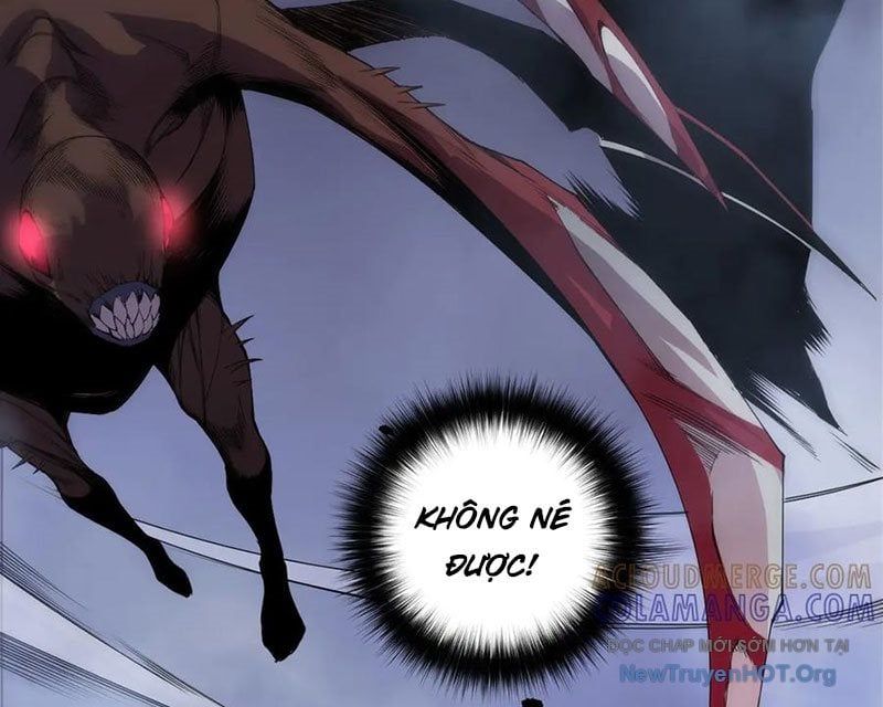 Thảm Họa Tử Linh Sư: Chapter 204
